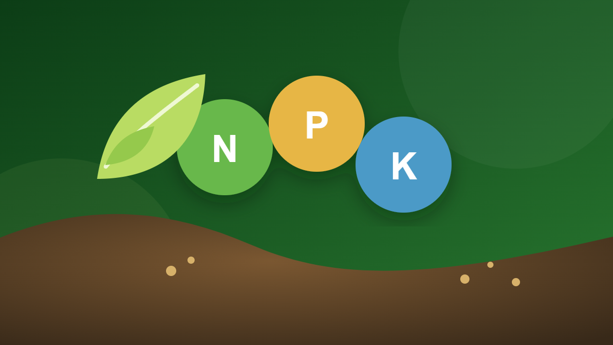 کود NPK چیست؟ راهنمای کامل انتخاب و مصرف کود کامل